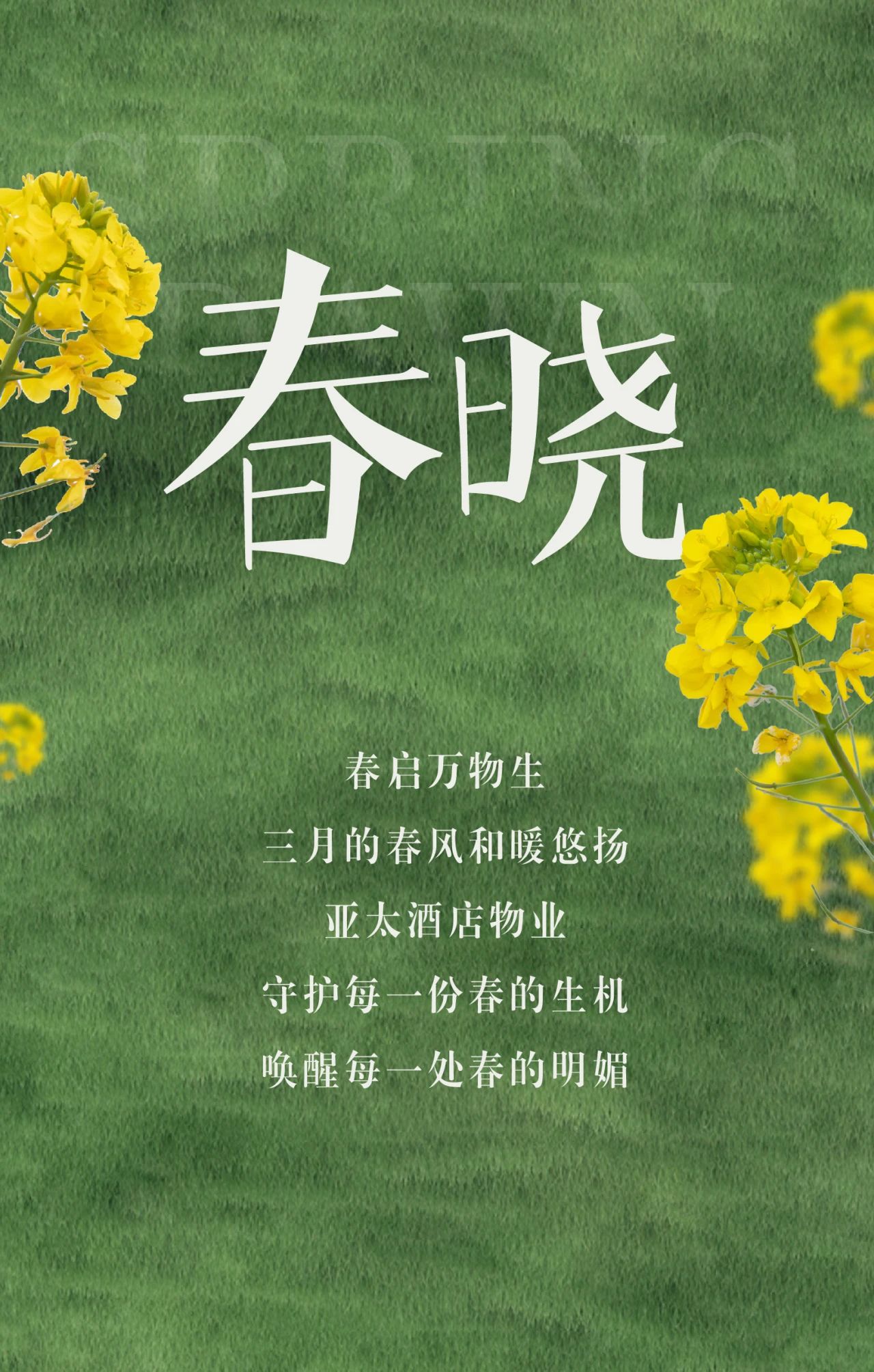 春?jiǎn)⑷f物，綻放新生丨亞太酒店物業(yè)